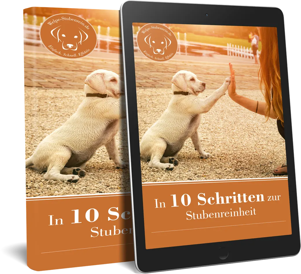 Das E-Book „In 10 Schritten zur Stubenreinheit“ als Buch und auf einem Tablet