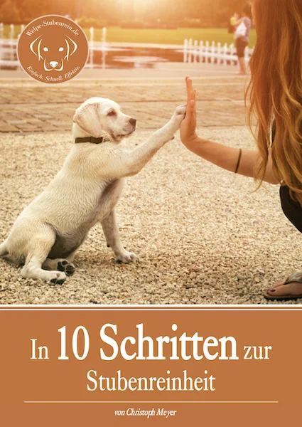 Titelbild des E-Books „In 10 Schritten zur Stubenreinheit“